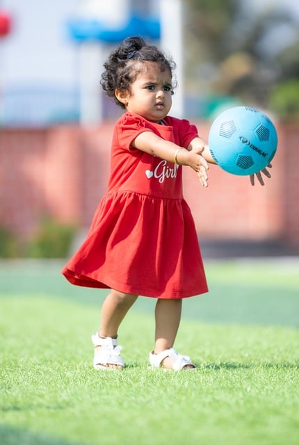 智利和巴西 智利和巴西