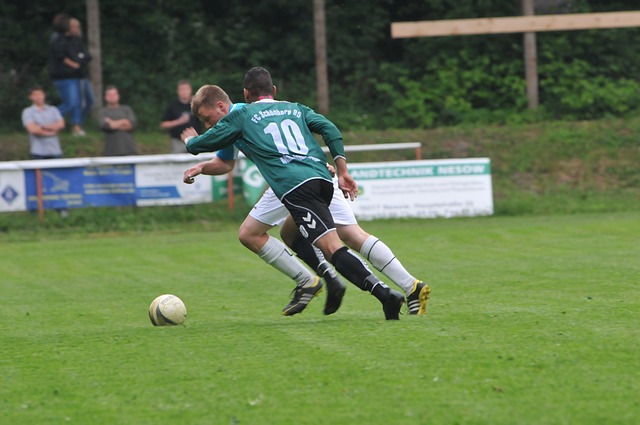 证明了他的 证明了他的