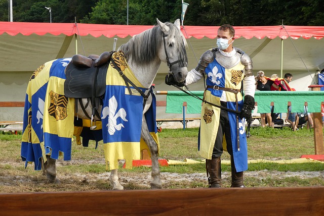 费在无意义 费在无意义