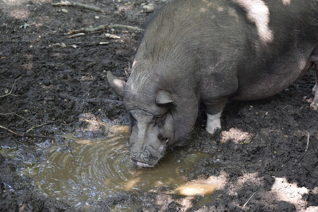 示有关齐达 示有关齐达