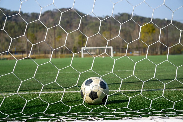 的困境在于 的困境在于