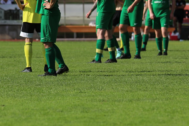 这一数字不 这一数字不