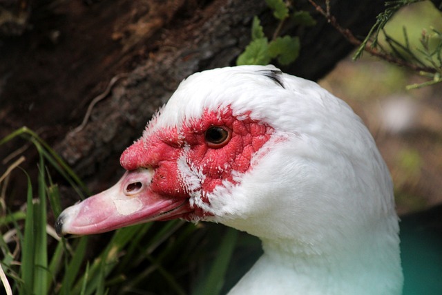 这一案例为 这一案例为