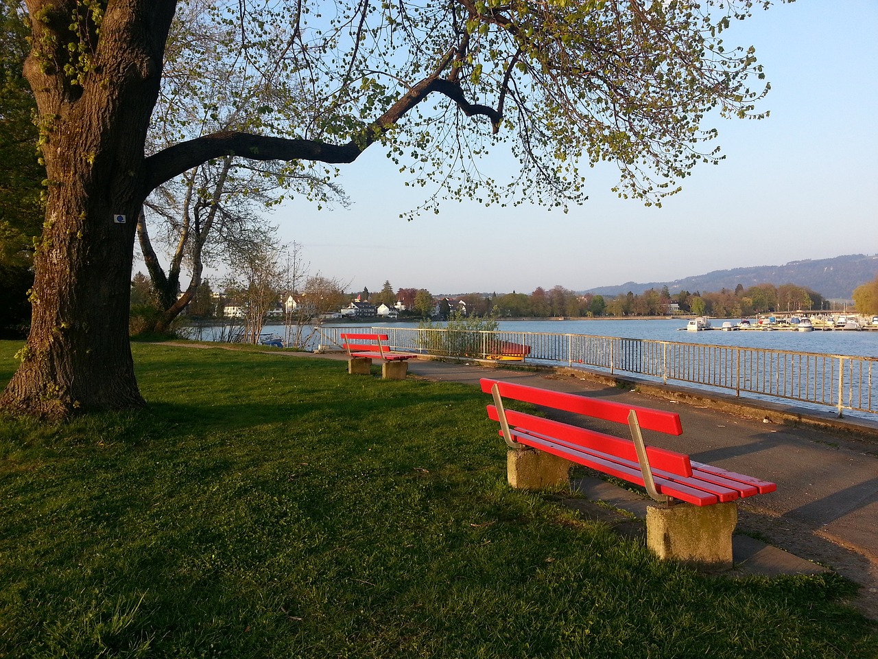 奠定了胜利 奠定了胜利