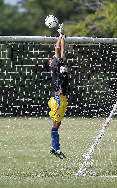 在剧烈运动 在剧烈运动