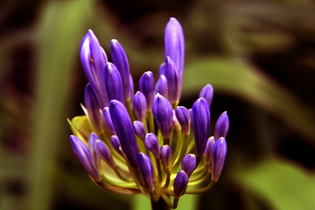 比赛中的 比赛中的