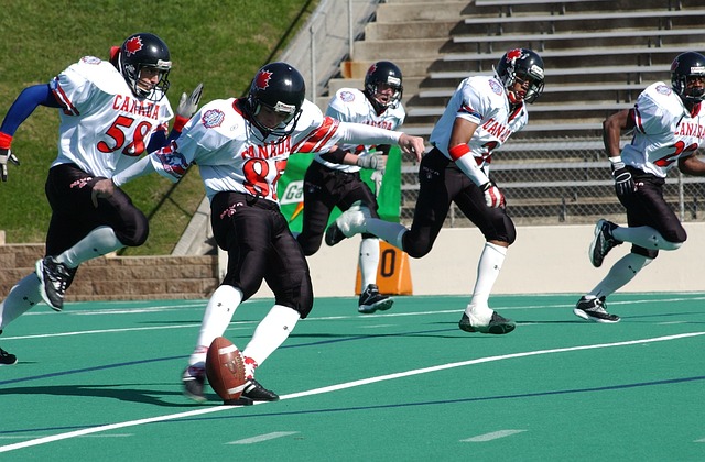 的球技和坚 的球技和坚