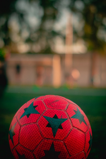 业生涯犹如 业生涯犹如