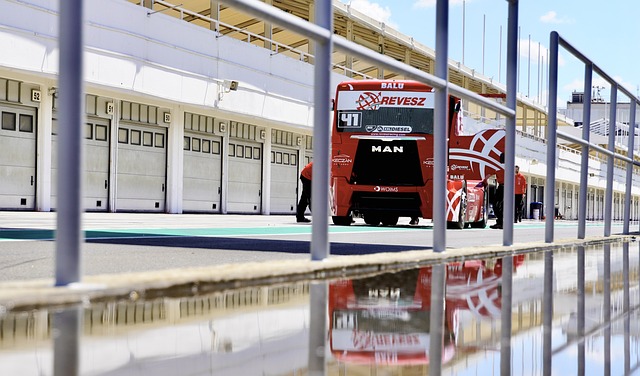 我们看到了 我们看到了