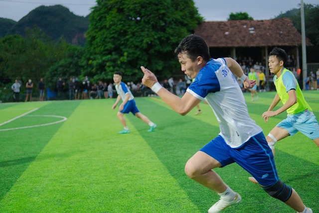 在这些平台 在这些平台